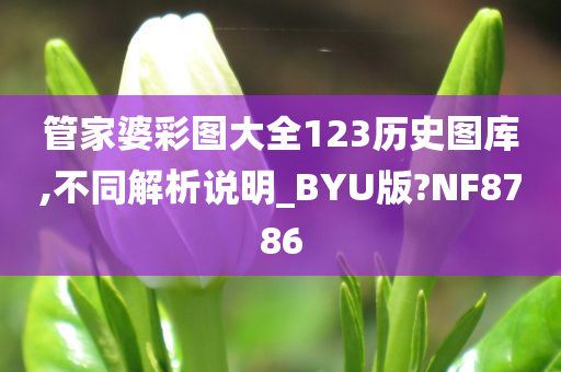 管家婆彩图大全123历史图库,不同解析说明_BYU版?NF8786