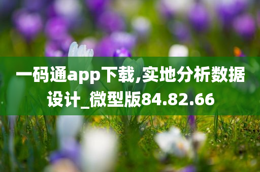 一码通app下载,实地分析数据设计_微型版84.82.66