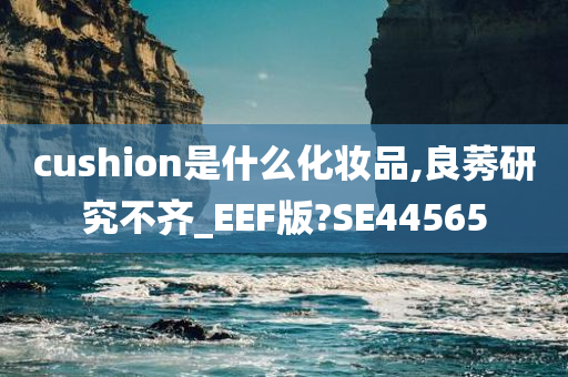 cushion是什么化妆品,良莠研究不齐_EEF版?SE44565