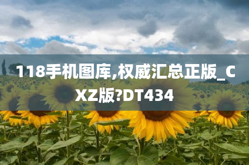 118手机图库,权威汇总正版_CXZ版?DT434