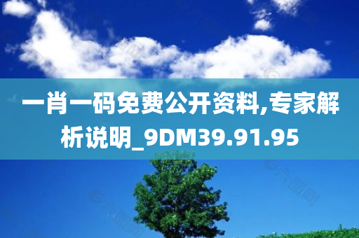 一肖一码免费公开资料,专家解析说明_9DM39.91.95