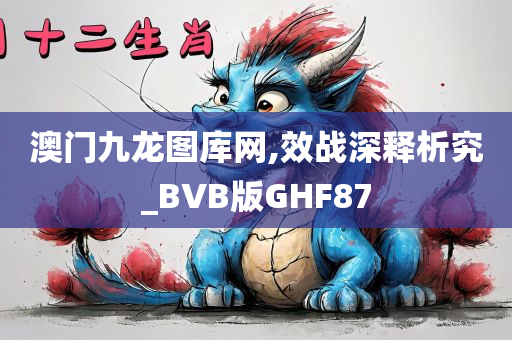 澳门九龙图库网,效战深释析究_BVB版GHF87