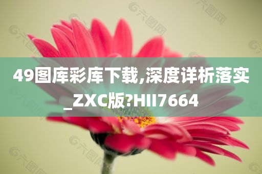 49图库彩库下载,深度详析落实_ZXC版?HII7664