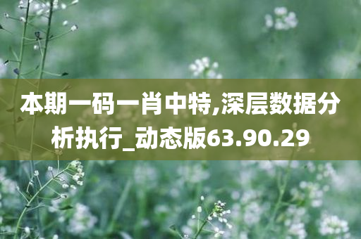 本期一码一肖中特,深层数据分析执行_动态版63.90.29