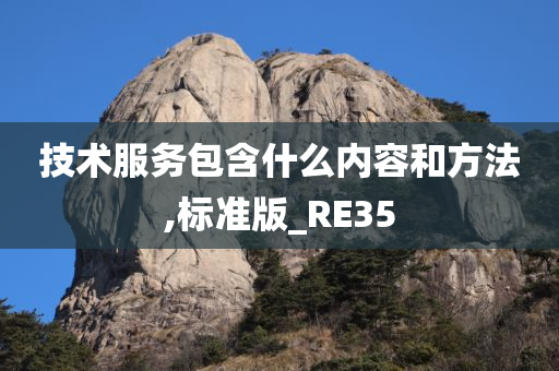 技术服务包含什么内容和方法,标准版_RE35