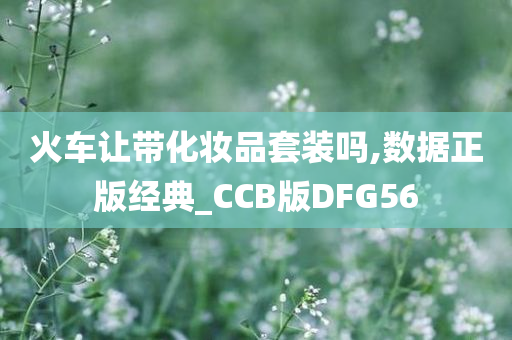 火车让带化妆品套装吗,数据正版经典_CCB版DFG56