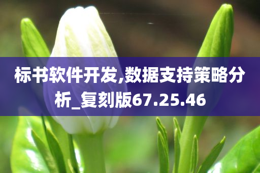 标书软件开发,数据支持策略分析_复刻版67.25.46