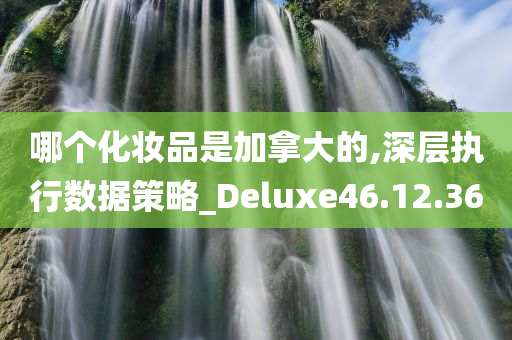 哪个化妆品是加拿大的,深层执行数据策略_Deluxe46.12.36