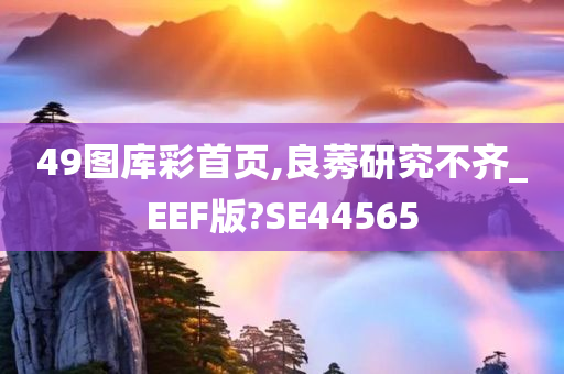 49图库彩首页,良莠研究不齐_EEF版?SE44565