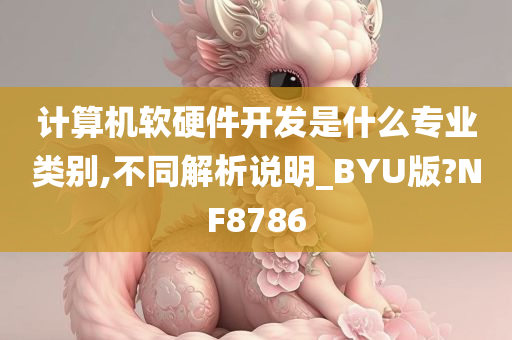 计算机软硬件开发是什么专业类别,不同解析说明_BYU版?NF8786