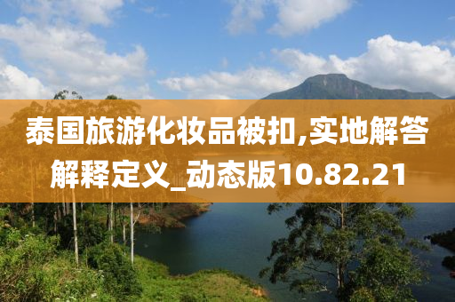 泰国旅游化妆品被扣,实地解答解释定义_动态版10.82.21