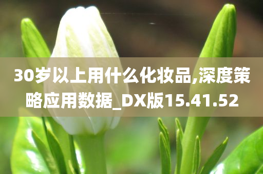 30岁以上用什么化妆品,深度策略应用数据_DX版15.41.52