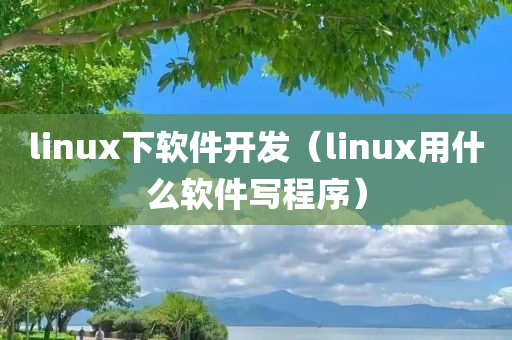 linux下软件开发（linux用什么软件写程序）