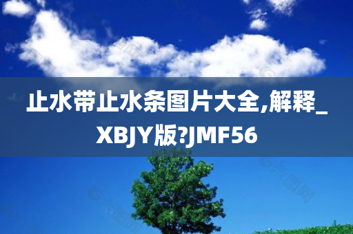 止水带止水条图片大全,解释_XBJY版?JMF56