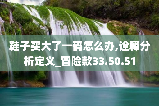 鞋子买大了一码怎么办,诠释分析定义_冒险款33.50.51