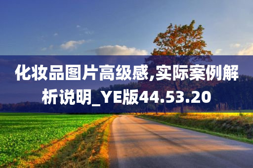 化妆品图片高级感,实际案例解析说明_YE版44.53.20