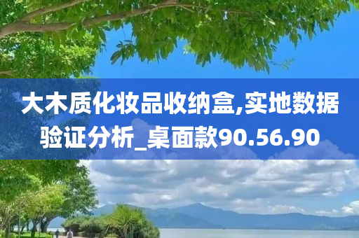 大木质化妆品收纳盒,实地数据验证分析_桌面款90.56.90