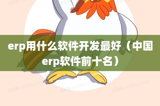 erp用什么软件开发最好（中国erp软件前十名）