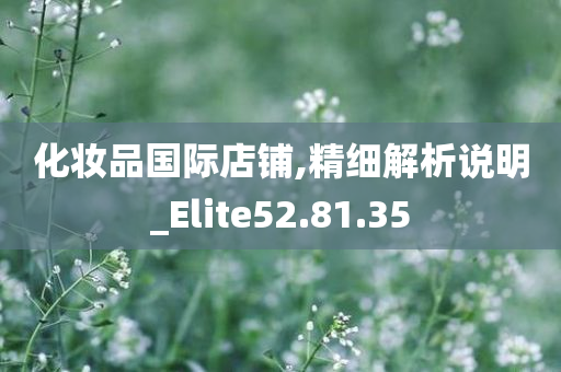 化妆品国际店铺,精细解析说明_Elite52.81.35