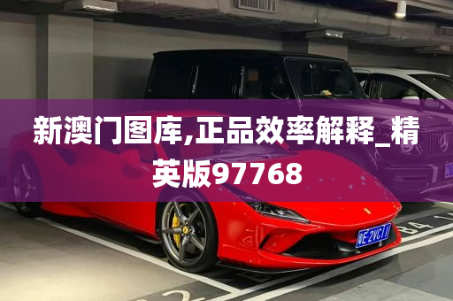 新澳门图库,正品效率解释_精英版97768