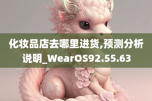 化妆品店去哪里进货,预测分析说明_WearOS92.55.63