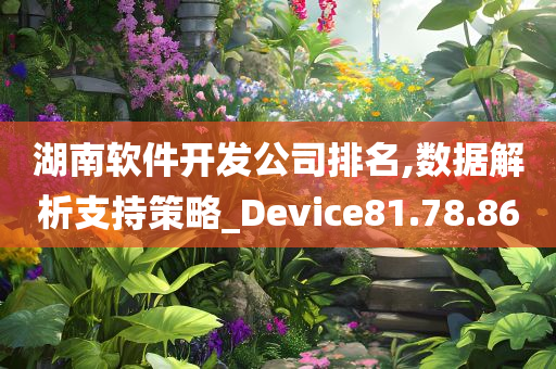 湖南软件开发公司排名,数据解析支持策略_Device81.78.86