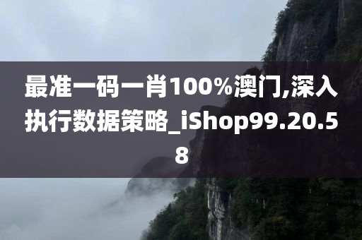 最准一码一肖100%澳门,深入执行数据策略_iShop99.20.58