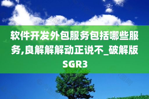 软件开发外包服务包括哪些服务,良解解解动正说不_破解版SGR3