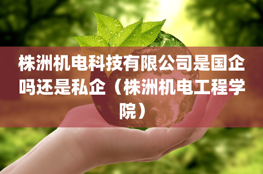 株洲机电科技有限公司是国企吗还是私企（株洲机电工程学院）