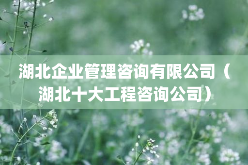 湖北企业管理咨询有限公司（湖北十大工程咨询公司）