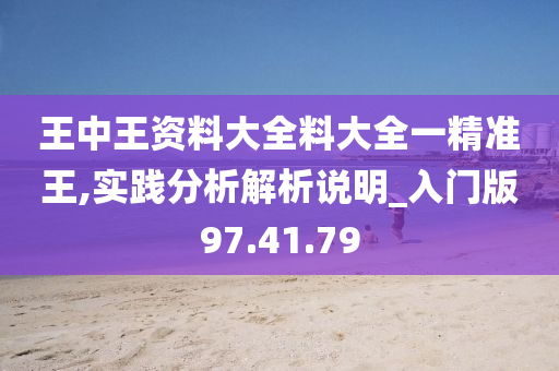 王中王资料大全料大全一精准王,实践分析解析说明_入门版97.41.79