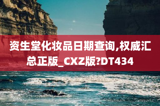 资生堂化妆品日期查询,权威汇总正版_CXZ版?DT434