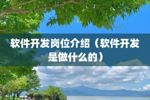 软件开发岗位介绍（软件开发是做什么的）