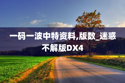 一码一波中特资料,版数_迷惑不解版DX4