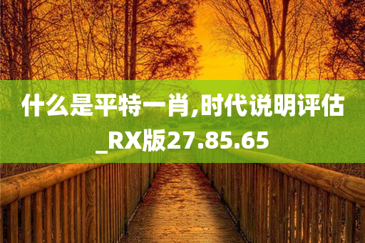 什么是平特一肖,时代说明评估_RX版27.85.65