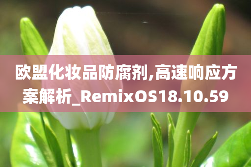 欧盟化妆品防腐剂,高速响应方案解析_RemixOS18.10.59