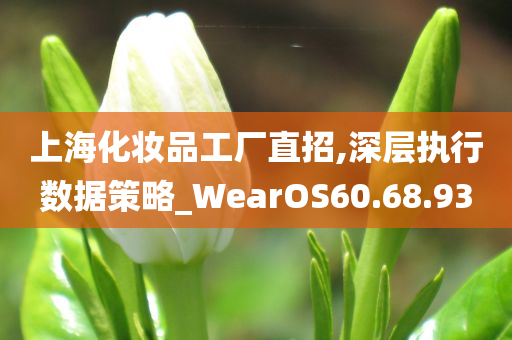 上海化妆品工厂直招,深层执行数据策略_WearOS60.68.93