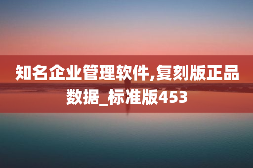 知名企业管理软件,复刻版正品数据_标准版453