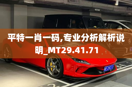 平特一肖一码,专业分析解析说明_MT29.41.71