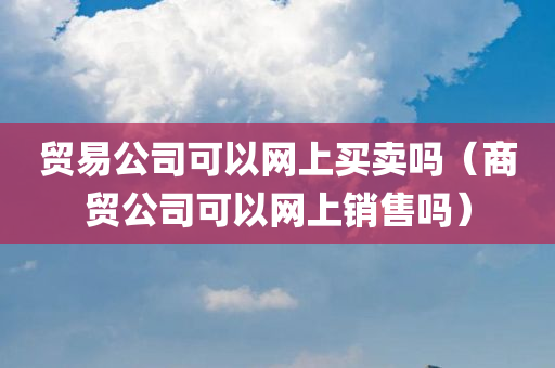 贸易公司可以网上买卖吗（商贸公司可以网上销售吗）