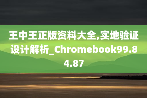 王中王正版资料大全,实地验证设计解析_Chromebook99.84.87