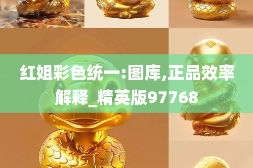 红姐彩色统一:图库,正品效率解释_精英版97768