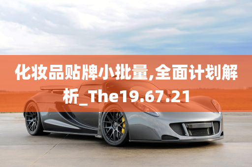 化妆品贴牌小批量,全面计划解析_The19.67.21