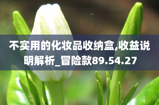 不实用的化妆品收纳盒,收益说明解析_冒险款89.54.27