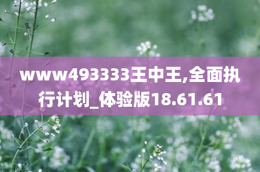 www493333王中王,全面执行计划_体验版18.61.61