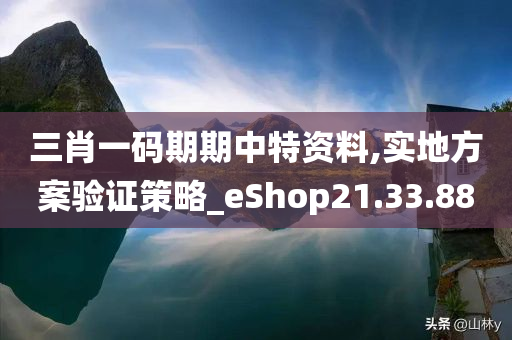 三肖一码期期中特资料,实地方案验证策略_eShop21.33.88