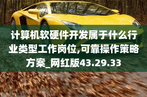 计算机软硬件开发属于什么行业类型工作岗位,可靠操作策略方案_网红版43.29.33