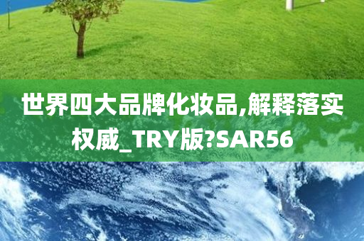 世界四大品牌化妆品,解释落实权威_TRY版?SAR56