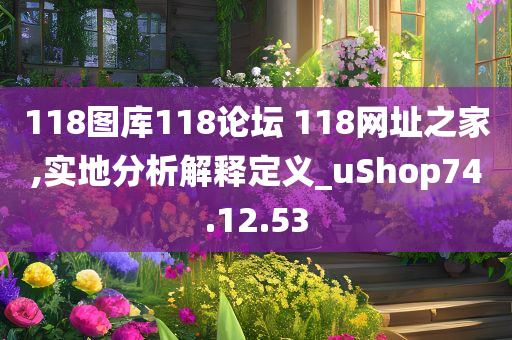 118图库118论坛 118网址之家,实地分析解释定义_uShop74.12.53