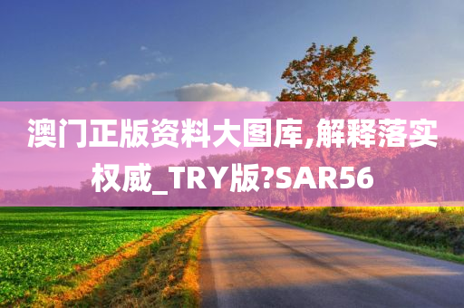 澳门正版资料大图库,解释落实权威_TRY版?SAR56